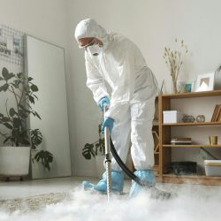 Carpet Cleaning Fife