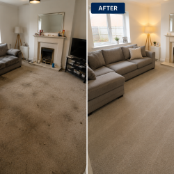 Carpet Cleaning from Cut Edge Cleaning