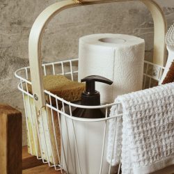 Domestic House Cleaners